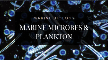 Preview of Marine Biology Presentation: Microbes, Plankton, Algae, Seagrasses - *EDITABLE*