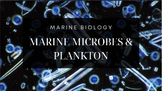 Marine Biology Presentation: Microbes, Plankton, Algae, Se