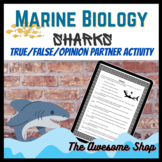 Marine Biology SHARKS True/False or Opinion Partner Activity