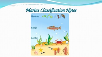 Preview of Marine Classification & Ocean Zones Notes