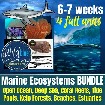 Preview of Marine Ecosystems | 4 unit BUNDLE | Open Ocean, Coral Reefs, Kelp Forests