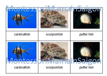 Preview of Marine Fish Montessori Three Part Vocabulary Cards