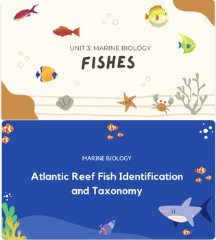 Preview of Marine Fishes Presentation BUNDLE: Biology and Atlantic Species ID - *EDITABLE*