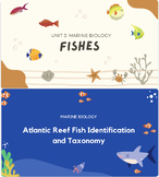 Marine Fishes Presentation BUNDLE: Biology and Atlantic Sp
