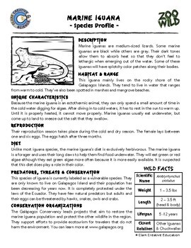 Iguana: Species Profile  