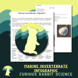 Marine Invertebrate Infographic Project