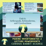 Marine Invertebrates 2 - Marine Biology Unit 6 - Full