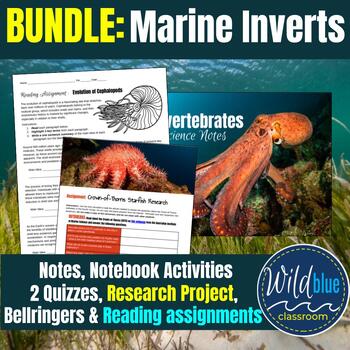 Preview of Marine Invertebrates Full Unit BUNDLE | Cnidarians | Echinoderms | Arthropods