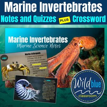 Preview of Marine Invertebrates Notes | Cnidarians | Echinoderms | Mollusks | Arthropods