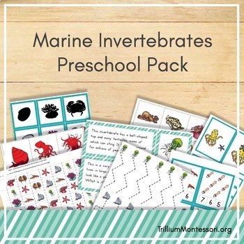 Preview of Marine Invertebrates Preschool and PreK Skills