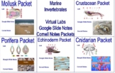 Marine Invertebrates-Virtual Dissections, Google Slide Not