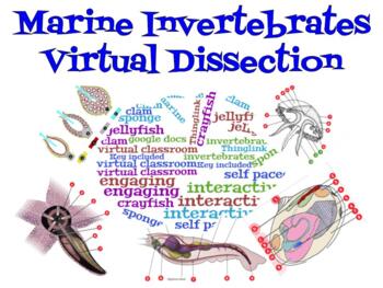 Preview of Marine Invertebrates Virtual Lab (Thinglink)