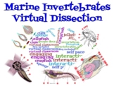 Marine Invertebrates Virtual Lab (Thinglink)