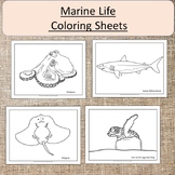 Marine Life Animals Color Sheet Pages Art Ocean Shark