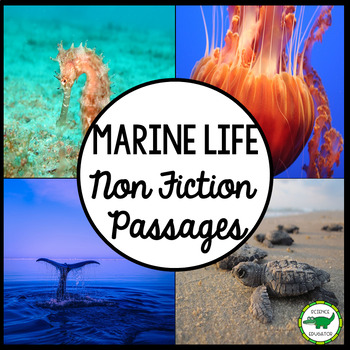 creative writing about marine life