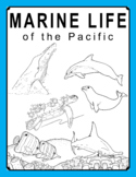 Marine Life of the Pacific Bundle