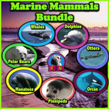 Preview of Marine Mammal Bundle - PowerPoint Presentations, Activities, and More