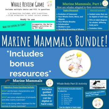 Preview of Marine Mammals Bundle- Whales, Dolphins, and Porpoises