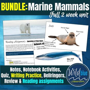 Preview of Marine Mammals Full Unit BUNDLE | Cetaceans | Pinnipeds | Polar Bears | Otters