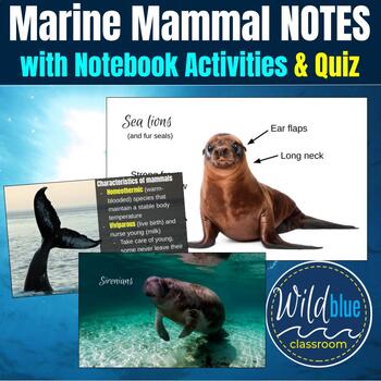 Preview of Marine Mammals Notes | Cetaceans | Pinnipeds | Polar Bears | Sea Otters