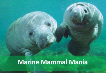 Preview of Marine Mammals Web Search for Print, TpT Digital Activity Distance Learning