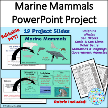 Marine Mammals Project Digital PowerPoint with Rubric by The Biology Bar