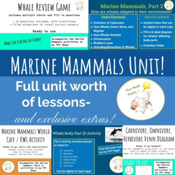 Preview of Marine Mammals UNIT Plans- THE FULL BUNDLE!