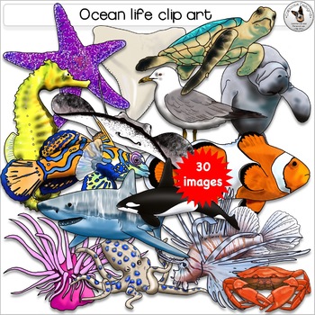 Preview of Marine, Ocean, Sea, Fish, Underwater and Tidepool Realistic Clip Art