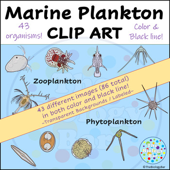 Preview of Marine Plankton Clip Art Biology Life Science