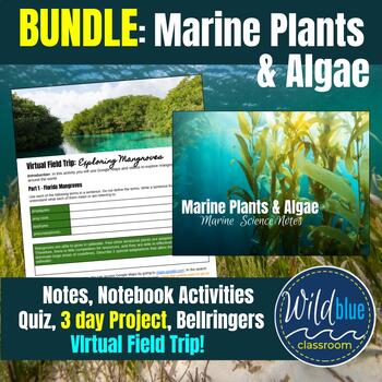 Preview of Marine Plants and Algae Full Unit BUNDLE | Phytoplankton | Seaweeds | Mangroves
