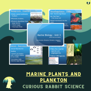 Preview of Marine Plants and Plankton - Marine Biology Unit 3 - FULL