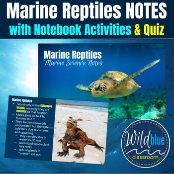 Preview of Marine Reptiles Notes and Quiz | Sea Turtles | Crocs | Sea Snakes | Iguanas