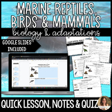 Marine Reptiles, Seabirds & Mammals Lesson Guided Notes & 