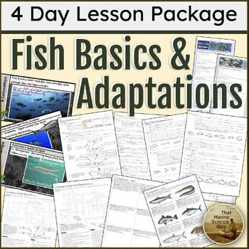 Preview of Marine Science Bundle: Fish (2) Notes + Summaries, (2) Quiz, (4) Worksheets +Key