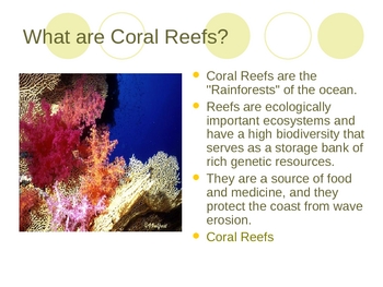 Marine Science- Coral Reefs by Agata Blanchard | TpT