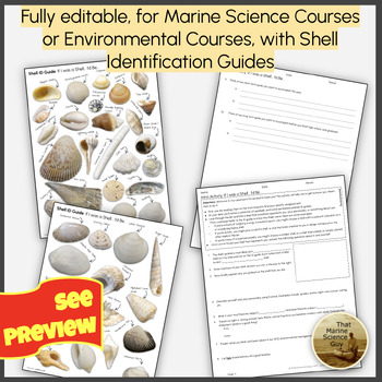 Marine Science First Day Creative Getting to Know Your Students w/Digital  handou