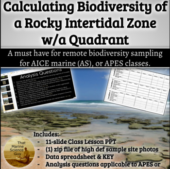 Preview of Marine Science Lab: Calculating Biodiversity of a Rocky Intertidal Zone