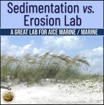 Preview of Marine Science Lab: Erosion (Sandy) vs Sedimentation (Muddy) Shores