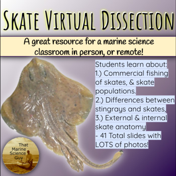 Preview of Marine Science Lab: Skate Dissection - Use as pre or during dissection guide
