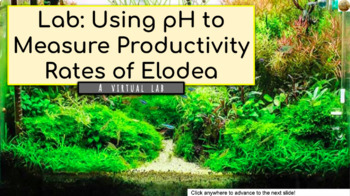 Preview of Marine Science Lab: Using pH To Track Productivity Rates of Elodea