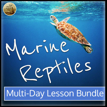 Preview of Marine Science Lesson Bundle: Marine Reptiles & Sea Turtles Notes, Worksheets...