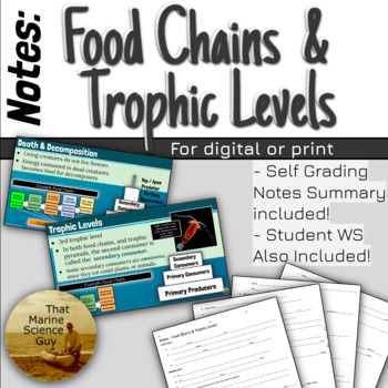 Preview of Marine Science Notes: Food Chains, Trophic Pyramids, & Keystone Species