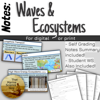 Preview of Marine Science Notes: How Waves Influence Ecosystems & Marine Life