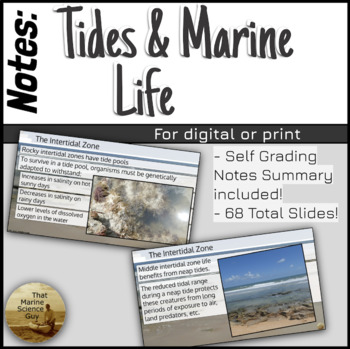 Preview of Marine Science Notes Tides Influence on Marine Life w/Summary