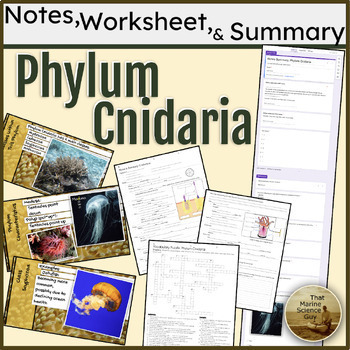 Preview of Marine Science - Phylum Cnidaria Notes, Worksheets, & Self Grading Summary