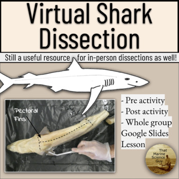 Preview of Marine Science Shark Dissection (virtual or whole group) w/pre+post activities