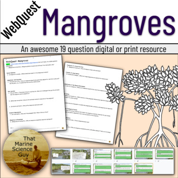 Preview of Marine Science WebQuest: Adaptations of Mangroves Worksheet w/Key