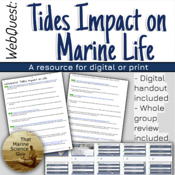 Preview of Marine Science WebQuest: How Tides Impact Ocean Life Worksheet w/Keys