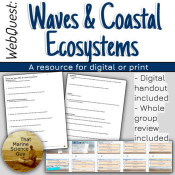 Preview of Marine Science WebQuest: Sandy Shores vs Mangroves & Estuaries Worksheet