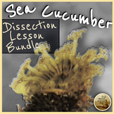 Marine Science and AICE Marine Echinoderm Sea Cucumber Dis